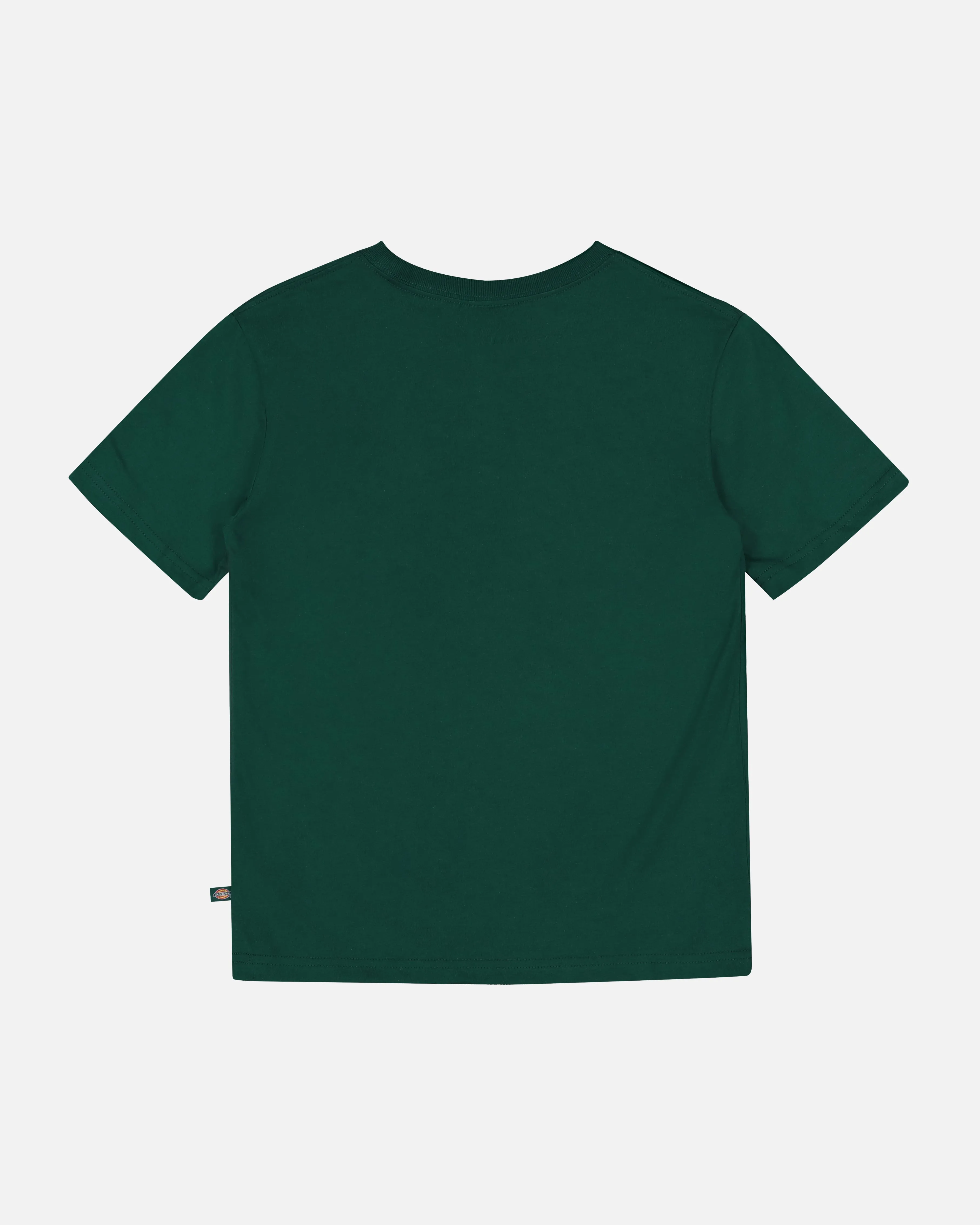 Dickies Kid's Longview T-Shirt Spruce Green