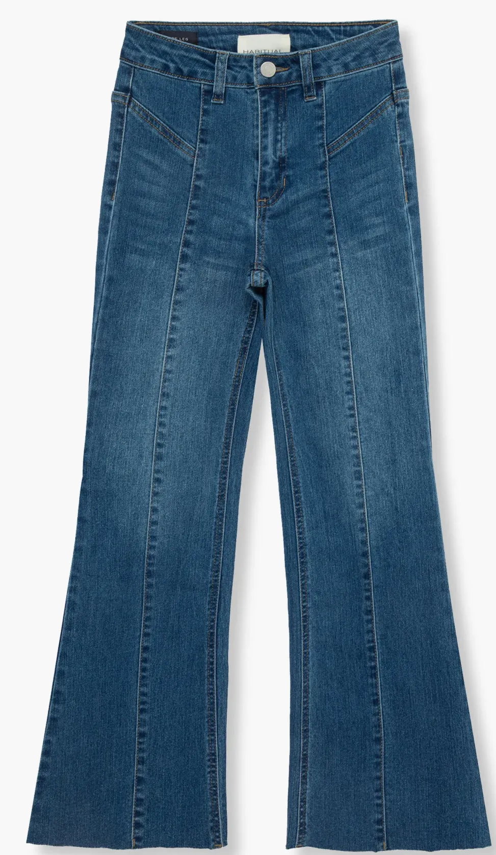 High Waisted Pant